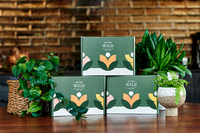 We the Wild plant care