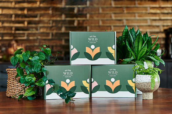 We the Wild plant care